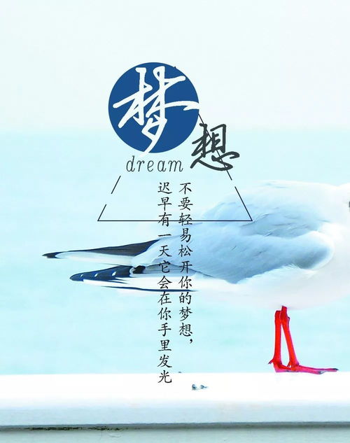 努力生活正能量的句子
