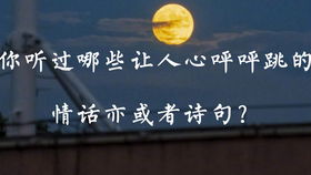 适合销售员工正能量的句子