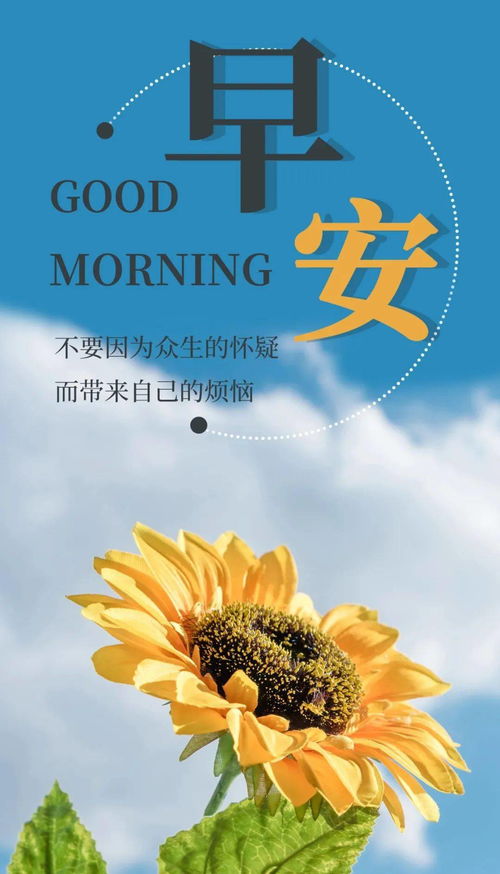 忙碌一天开始正能量的句子,忙碌一天结束正能量的句子,一天一句正能量句子
