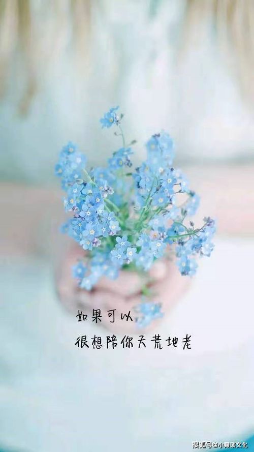 句子,唯美,能量,心态