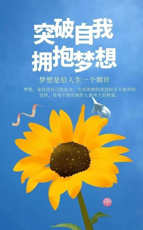 适合中午发朋友圈正能量的句子,中午发朋友圈的正能量句子和,中午好正能量的句子经典语句