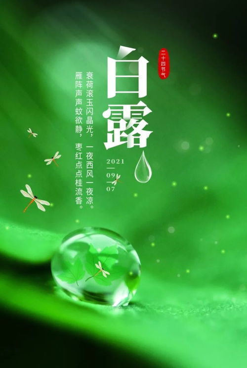 句子,能量,阳光