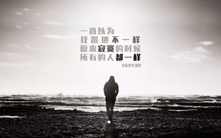心语情感人生正能量句子大全
