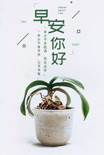 发朋友圈阳光心态正能量句子