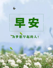 每天需要满满正能量的句子