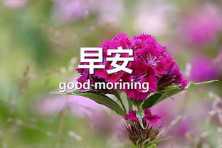 情侣正能量的句子说说心情短语