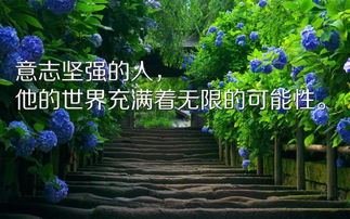 处于低谷励志的话正能量句子