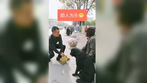 助人为乐正能量的句子