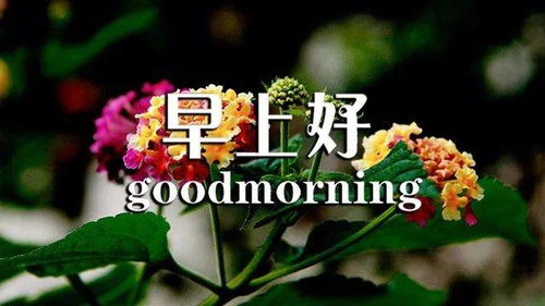 句子,养生,早上好,能量