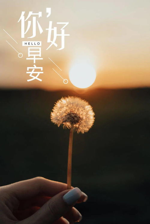 带杨字正能量的句子