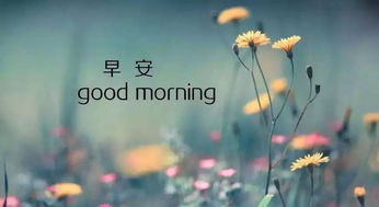 早晨充满正能量的句子,对生活充满正能量的句子,充满正能量句子和配图