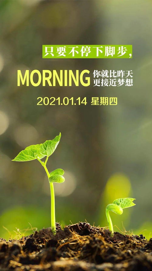 积极向上正能量早安的句子短句,积极向上正能量的句子早安语,积极向上正能量的句子短句