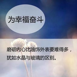 感恩公司励志正能量的句子