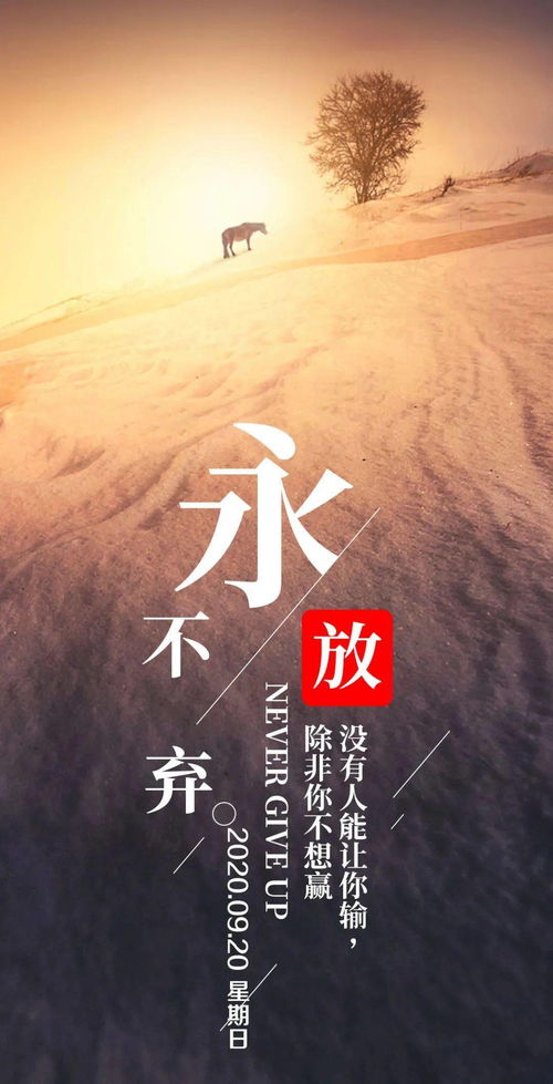 下午发朋友圈的句子正能量阳光