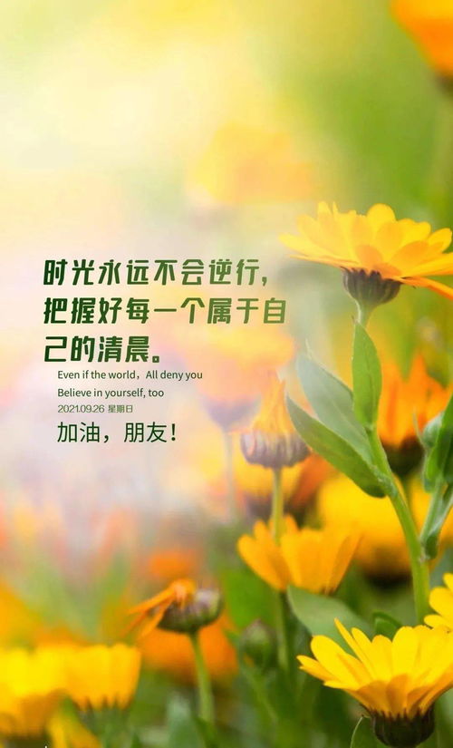 正能量的句子早安语录人生感悟