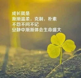 正能量句子励志早安语