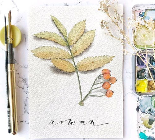 心态正能量的句子心平气和