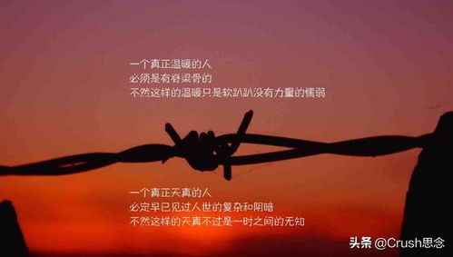 形容团队精神的正能量的句子