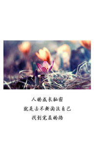 清新正能量的句子,正能量阳光清新句子,正能量阳光清新句子早安