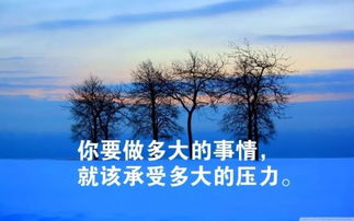 句子,能量,逛公园