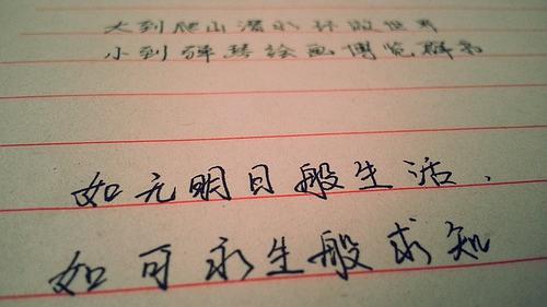 句子,描写,能量,老人