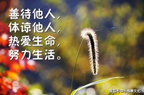 早安,句子,励志,能量