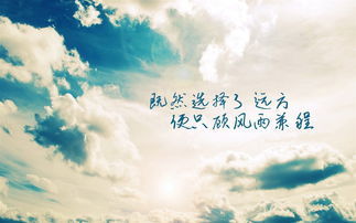 句子,励志,能量,人生