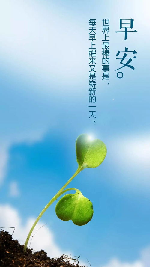 正能量的早安语句子配图