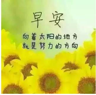 句子,图案,能量