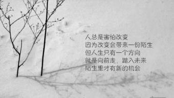 句子,能量,贡献
