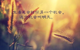 早安正能量句子励志-每日一句,每日一句正能量早安句子,每日一句正能量八个字句子