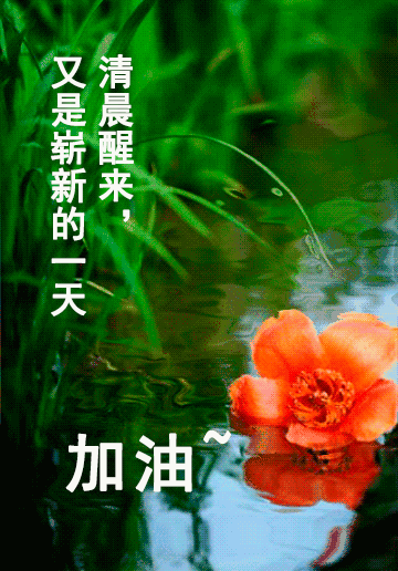 最新-2021早安心语正能量句子精品