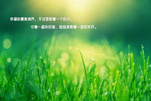 生活阳光正能量的句子,阳光励志正能量的句子,阳光积极正能量的句子