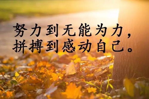 正能量老师句子100字