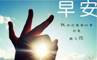 正能量的句子朋友