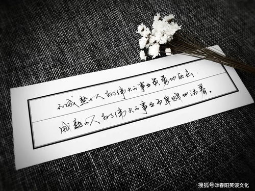 人心,句子,能量,温暖