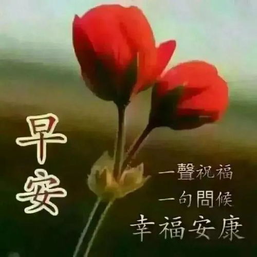 句子,满满,能量,问候