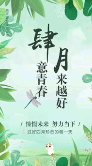 12月1号正能量句子