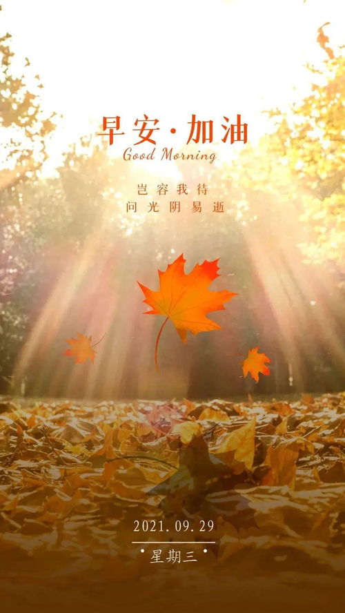 最新励志早安正能量的句子,励志的早安语正能量句子,早安励志正能量满满的句子朋友圈
