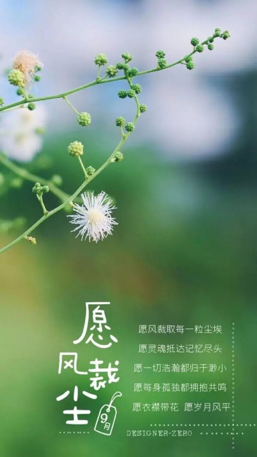 奋斗正能量励志句子说说心情短语