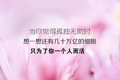 善良正能量的句子短句子