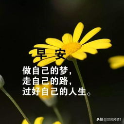 早安,句子,励志,朋友圈