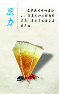 带孩子正能量的句子说说心情短语