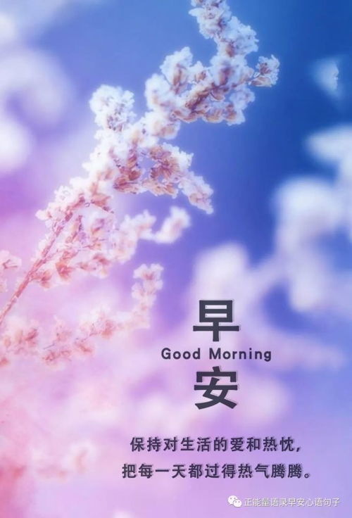 早安激励上进正能量句子简短,激励上进正能量句子早安语,早安激励正能量的句子