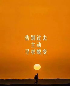 句子,激励,能量,早上