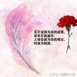 正能量的结尾句子,积极向上正能量的句子结尾,销售结尾正能量句子
