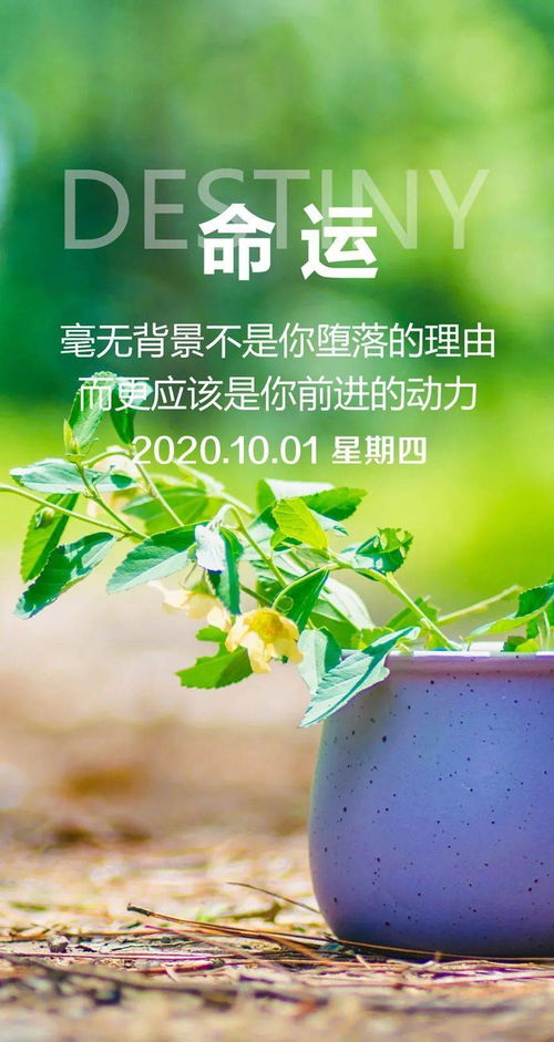 中秋节发朋友圈的祝福,中秋节晚上发朋友圈的正能量,正能量中秋节祝福词