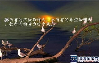 传递青春正能量的句子经典语句