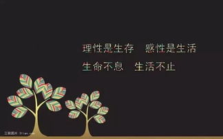 朋友圈正能量句子大全唯美,销售朋友圈正能量经典句子,早安的朋友圈句子大全正能量