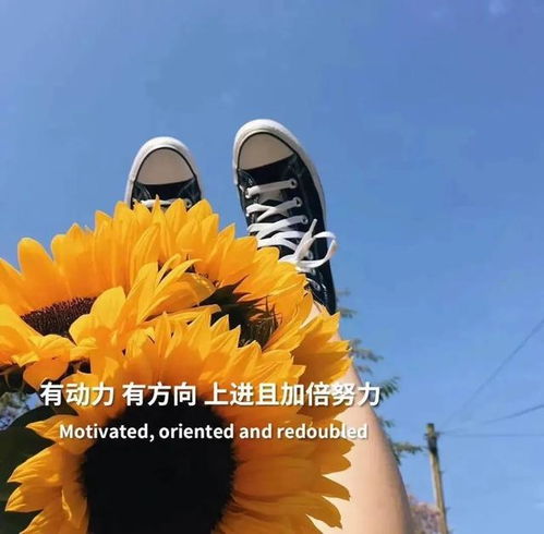 关于培训结束的正能量句子